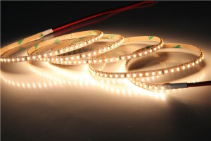 2110-240-24V-4mm 10mm LED Flexible Strip Light