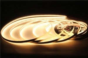 3528-240-12V 24V-10mm 15mm LED Flexible Strip Light