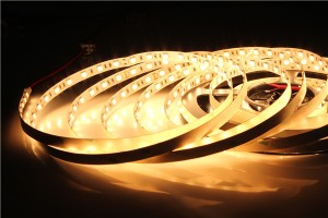 5050-60-12V 24V-8mm 10mm led flexible strip light