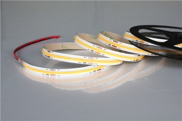 5M LED Strips